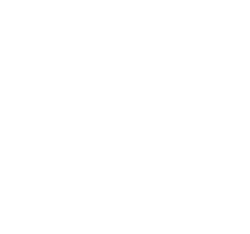 iternal audit control